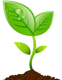 分割_花草树木_绿草_小草_青草_小苗_文章样式模板素材库_速排小蚂蚁