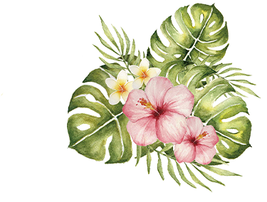 节日 春天 小图内容 速排小蚂蚁编辑器